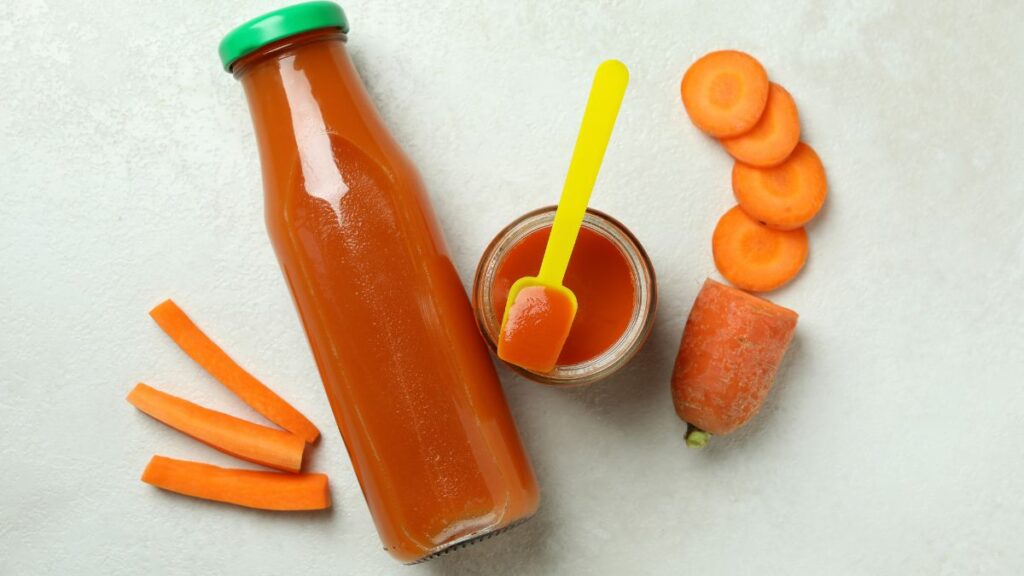 baby food puree maker