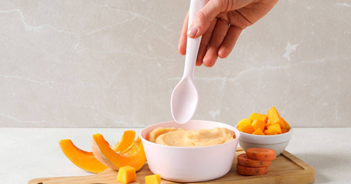 baby food puree maker